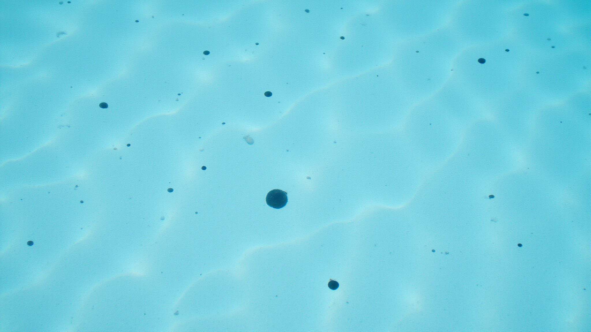 black algae metal stains debris damage