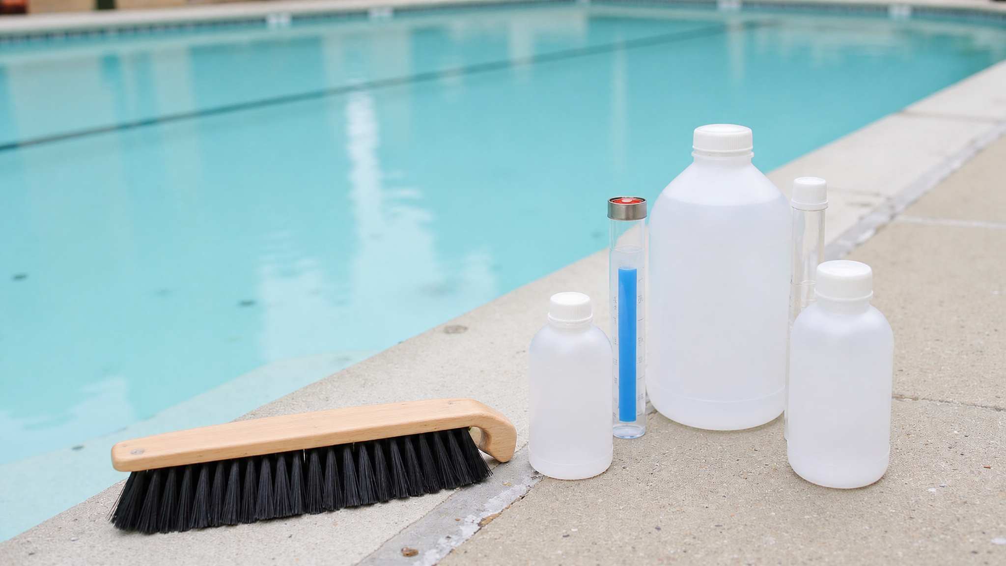 black algae resists brushing embedded growth